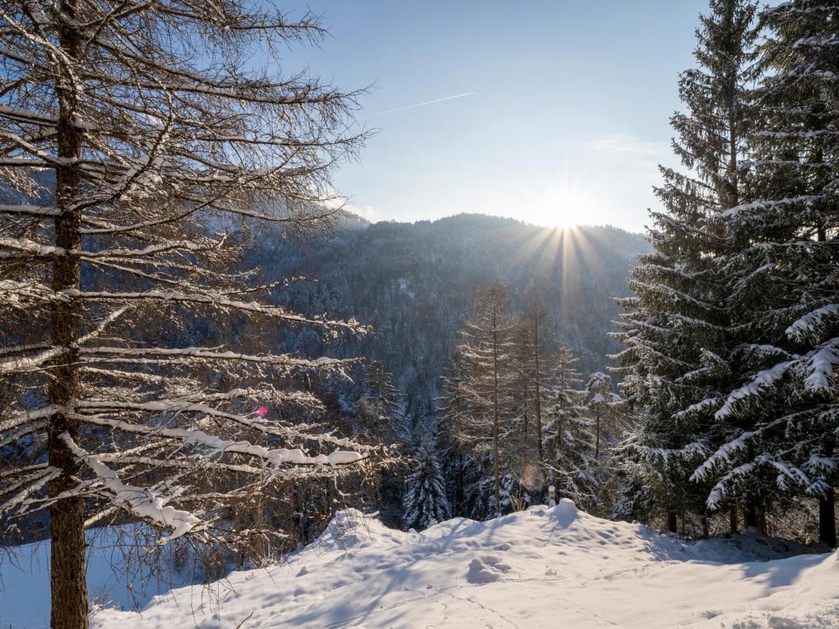 Alpengasthof Veitenhof Villa Ebbs Dış mekan fotoğraf